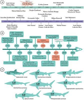 Potential negative effects of the Brazilian Space Program on coastal sharks